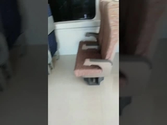 12 εξουσιοδότησης περιστρέψιμων μήνες καθισμάτων MOQ 100PCS τραίνων